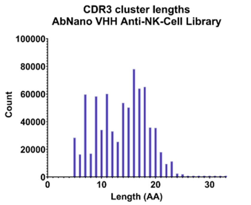 CDR3 cluster lengths